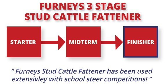 Furneys 3 Stage Stud Cattle Fattener