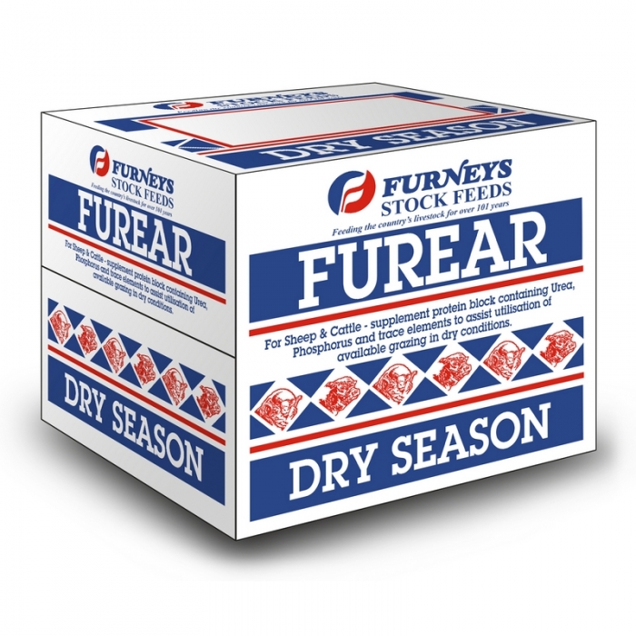 Furear Dry Season