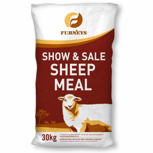 show sale sheep meal